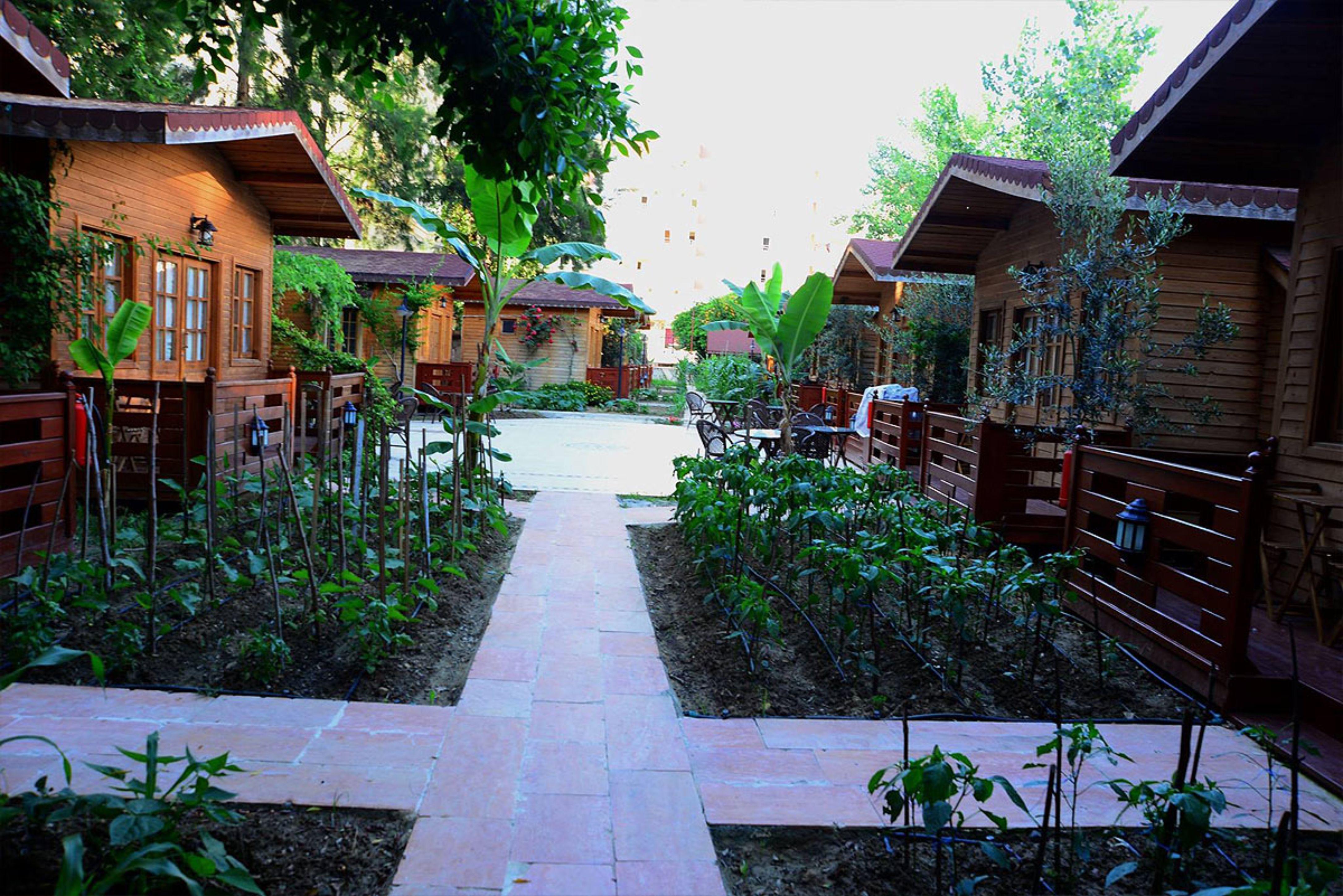 Sevkibey Hotel อลันยา ภายนอก รูปภาพ